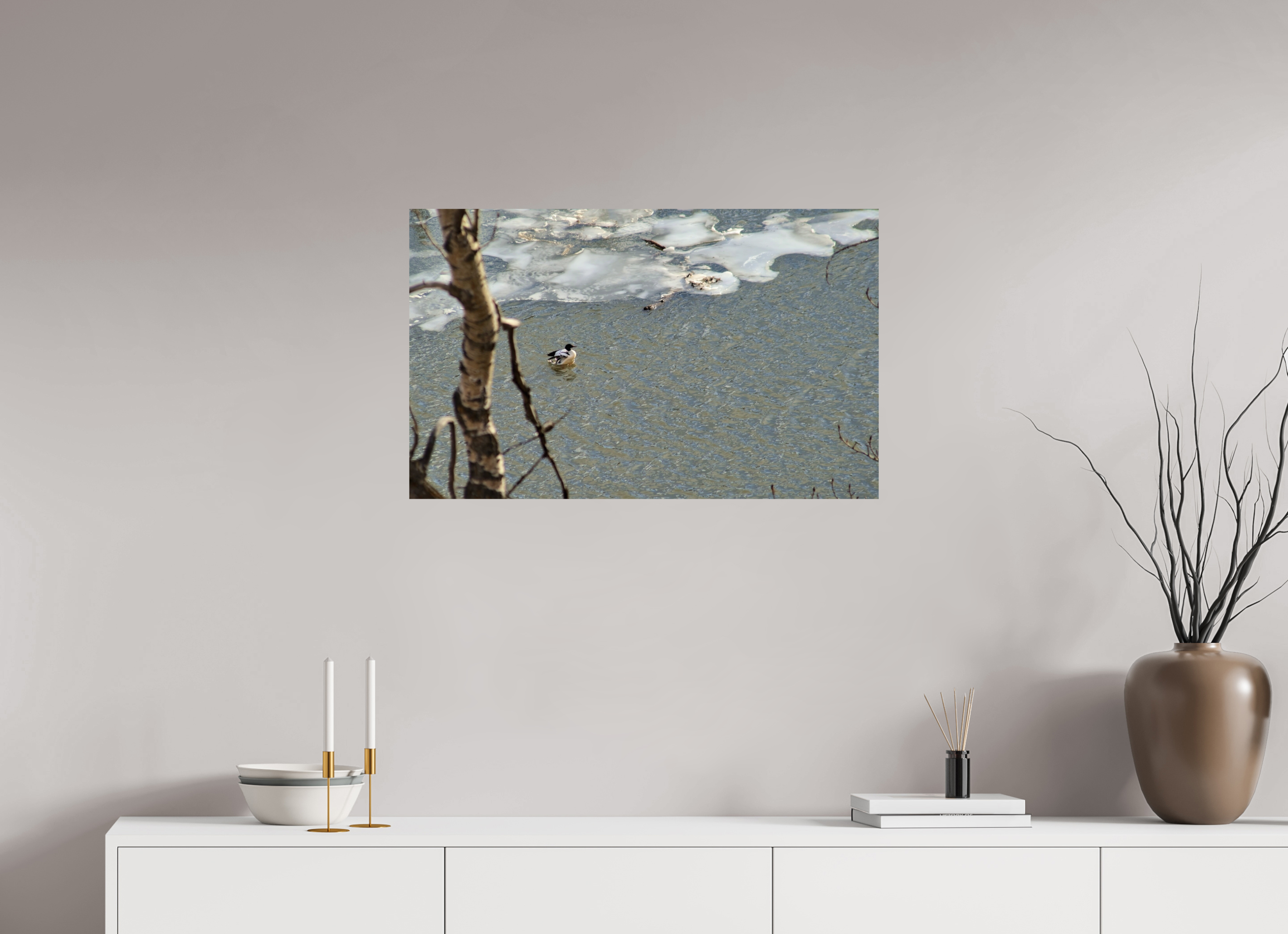 80.9 x 50 cm, Photo Print On Fuji Crystal DP II Duck along the thawing Elbow River