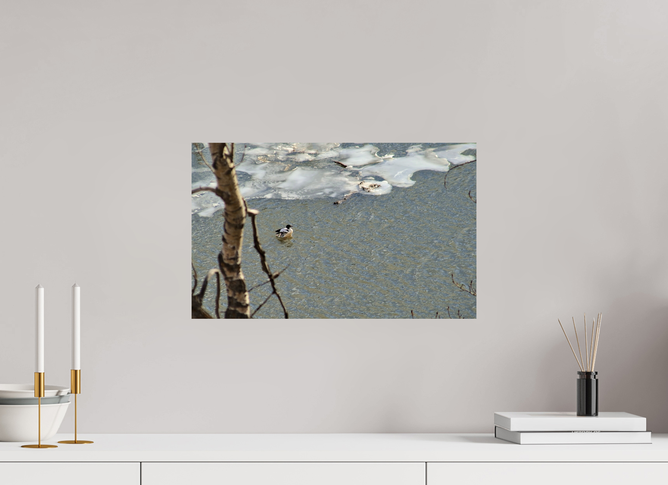 48.6 x 30 cm, Photo Print On Fuji Crystal DP II Duck along the thawing Elbow River