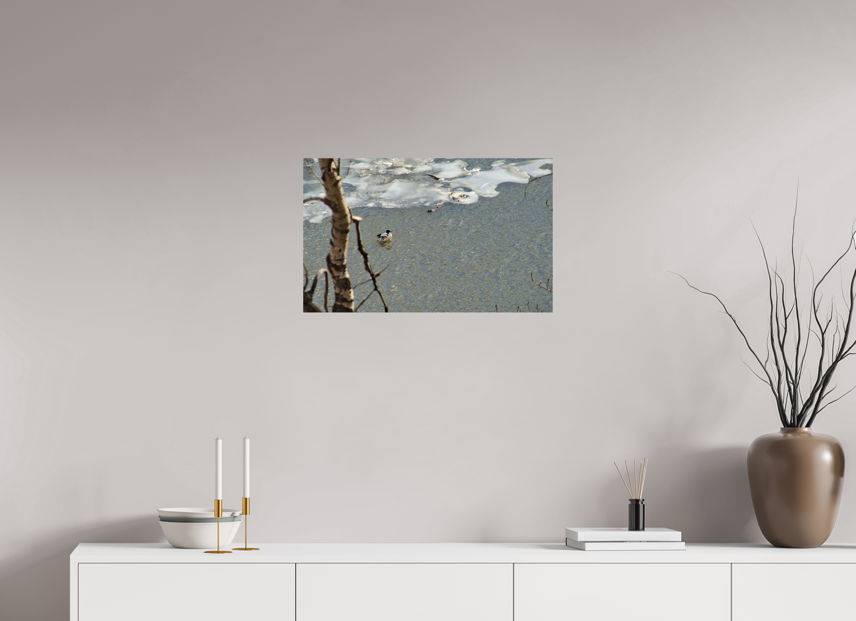 64.7 x 40 cm, Photo Print On Fuji Crystal DP II Duck along the thawing Elbow River