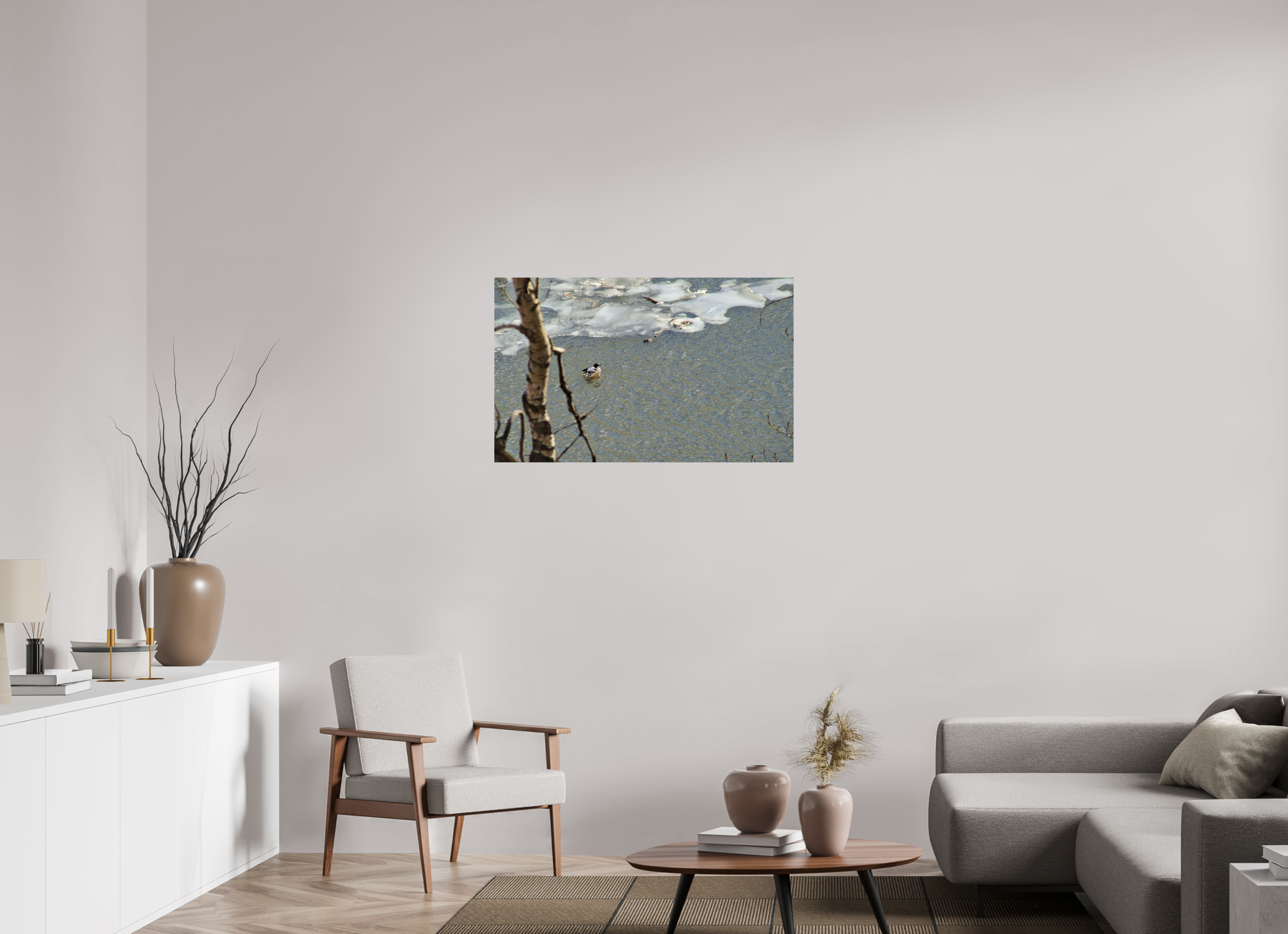 97.1 x 60 cm, Photo Print On Fuji Crystal DP II Duck along the thawing Elbow River