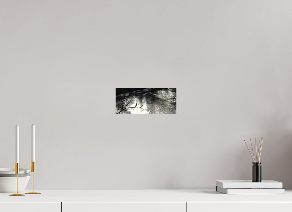 23.7 x 10 cm, Photo Print On Fuji Crystal DP II A Branch to Rest on