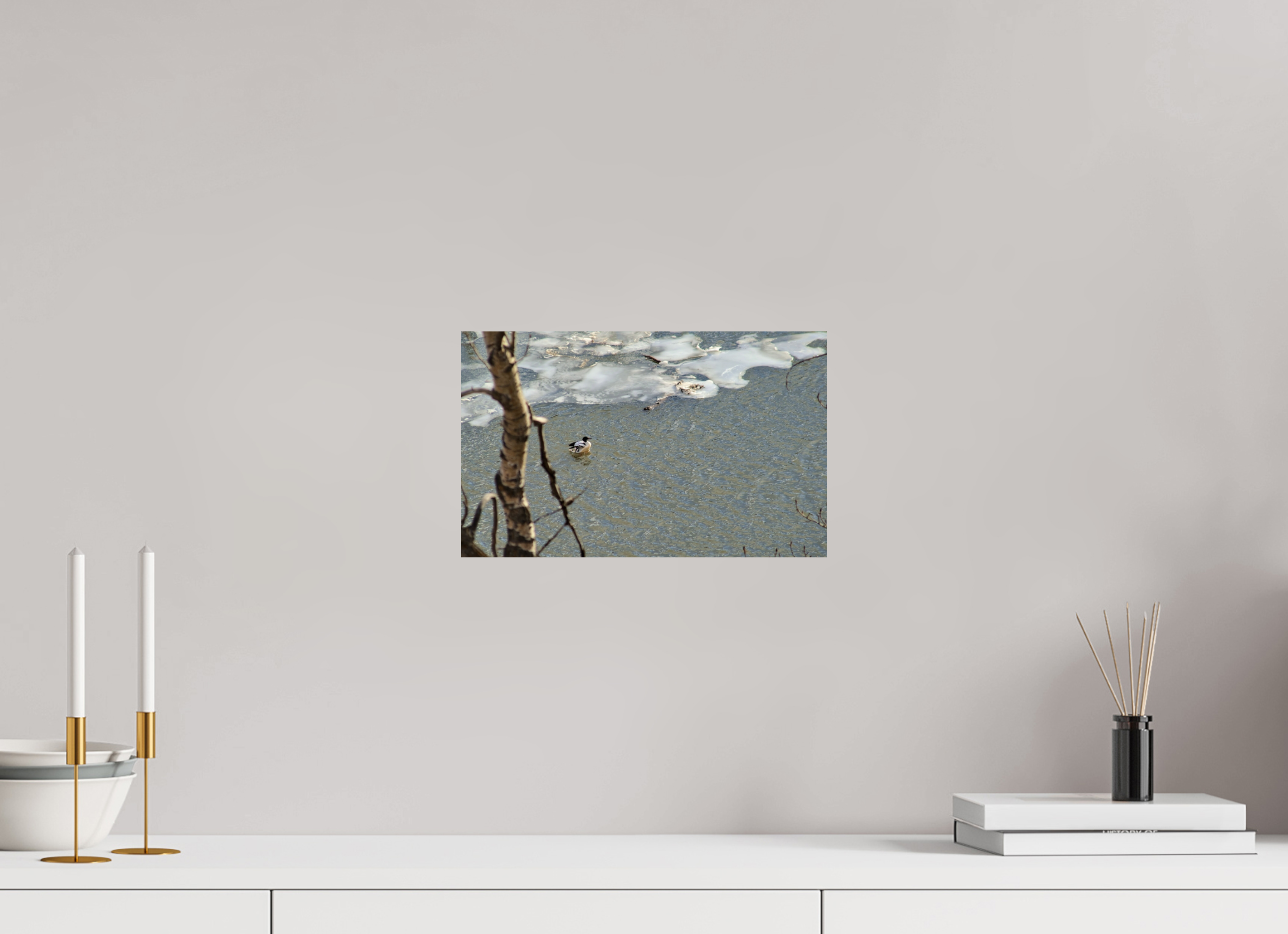 32.4 x 20 cm, Photo Print On Fuji Crystal DP II Duck along the thawing Elbow River